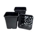 A set of three black square tomato pots.
