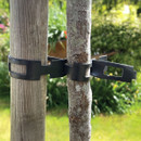 The black chain lock tied around a young tree trunk and its support.