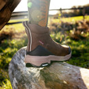 Brown boot on a log with sunlight flare and natural background.
