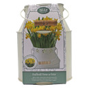 Packaging for a 'BEES' Daffodil Tete-a-Tete grow set with images of daffodils and a milk churn.
