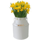 A bouquet of yellow daffodils in a white milk churn with floral cut-outs.
