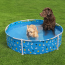 A view of a brown dog and light coloured dog in a blue dog paddling pool on green grass