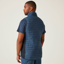 The back of a man wearing a blue quilted gilet over a navy t-shirt.
