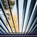 View of a structured ceiling with slatted beams, showcasing a bright sky and bare trees in the background.