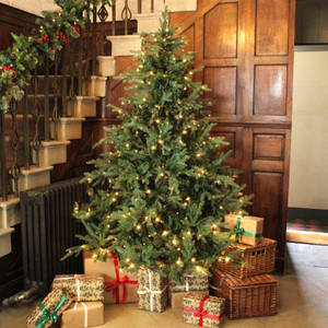 Your Christmas Tree, Perfected: Setup, Shaping and Decorating Tips