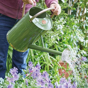 Gardening in July... top 10 jobs to do