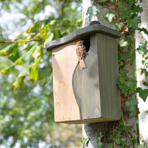 Creating Your Garden Wildlife Sanctuary 
