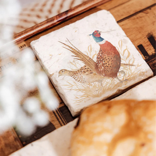 A view of a marble coaster with a pheasant on it