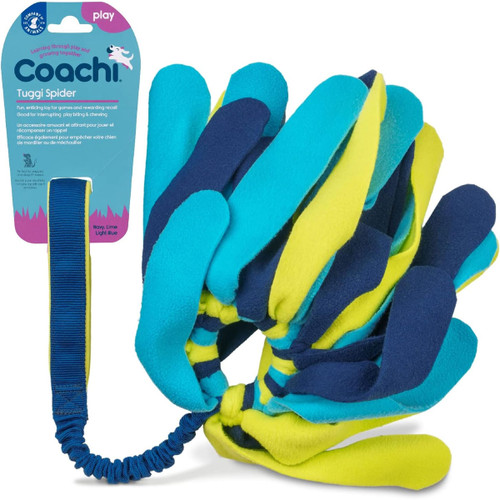 A colourful Tuggi Spider dog toy with multiple fabric "legs" in blue, yellow, and lime, ideal for interactive play and chewing.