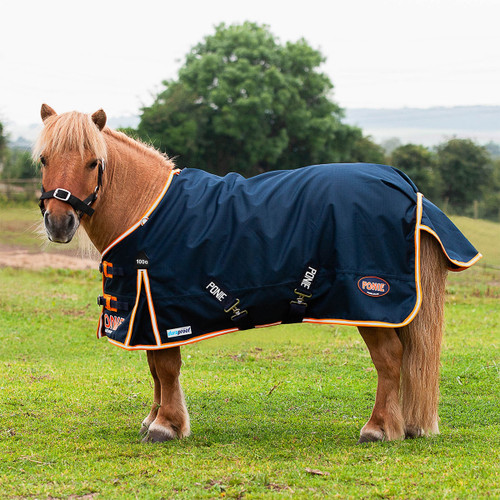 A horse wearing a navy rug with orange and white trim.