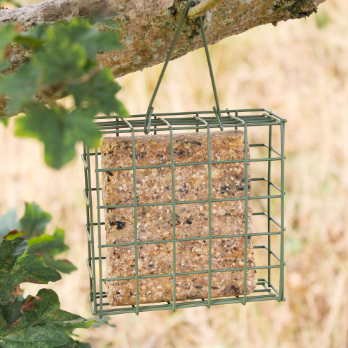 A square suet cake in a green metal cage hangs from a tree branch, surrounded by blurred greenery. The scene conveys a peaceful natural setting.
