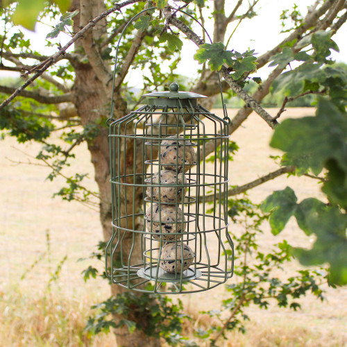 Green wire bird feeder containing suet balls hangs from a tree branch. Background shows an out-of-focus landscape of grass and trees, evoking a calm, rural setting.