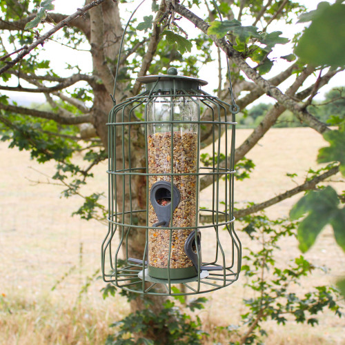 A metal bird feeder filled with seeds hangs from a tree branch in a lush landscape. The feeder's protective cage and natural setting suggest tranquillity.