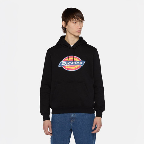 Young person wearing a black Dickies hoodie stands against a white background, looking to the side. The mood is casual and relaxed.