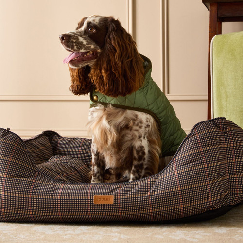 Brown and white spaniel sitting upright in a Joules Henson check dog bed.