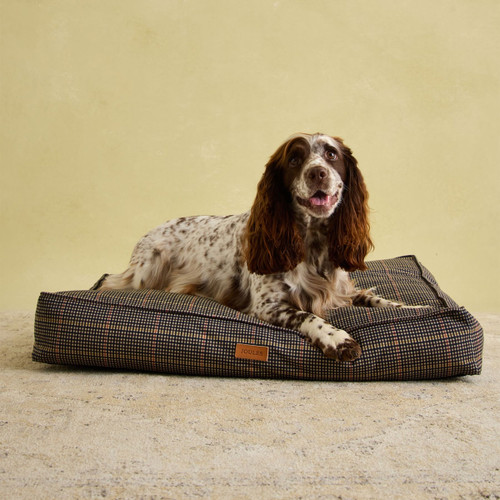 Springer Spaniel resting on Joules Henson check patterned dog mattress