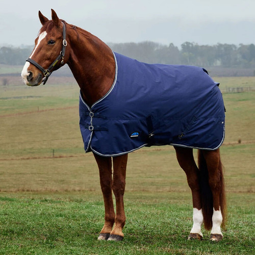 Chestnut horse wearing a navy turnout rug with grey binding, standing in a field.