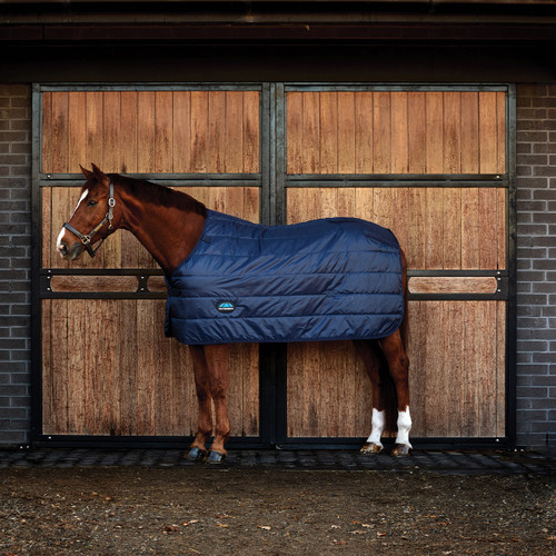 A brown horse wearing a dark blue blanket stands in front of a rustic wooden stable door. The setting appears calm and the horse looks relaxed.