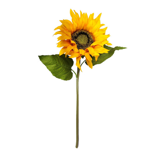 A yellow sunflower stem with green leaves.