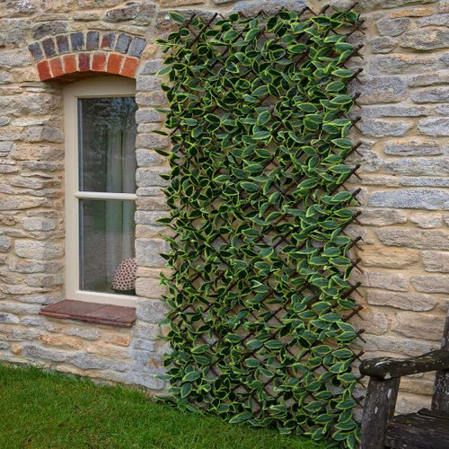 Stone wall with a window adorned by a lush green trellis of leaves. A rustic bench sits on the right, creating a serene and natural atmosphere.