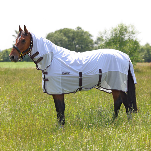 Horse wearing a white fly rug with mesh panels and neck cover, standing in a grassy field in summer.