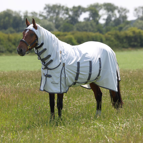 Horse wearing a white Highlander Plus fly rug with neck cover, standing in a meadow.