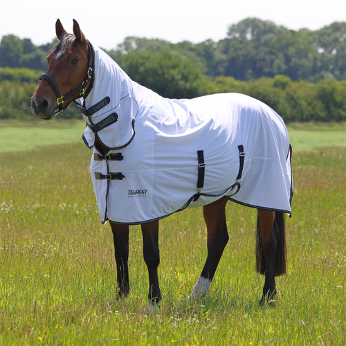 Horse wearing a white Tempest Original fly rug with neck cover, standing in a grassy field.