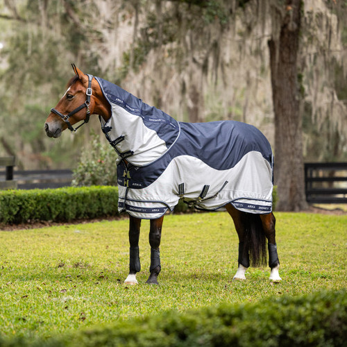 A horse stands on grass, wearing a blue and gray blanket with a neck cover. The background features lush greenery and a wooden fence, conveying calmness.