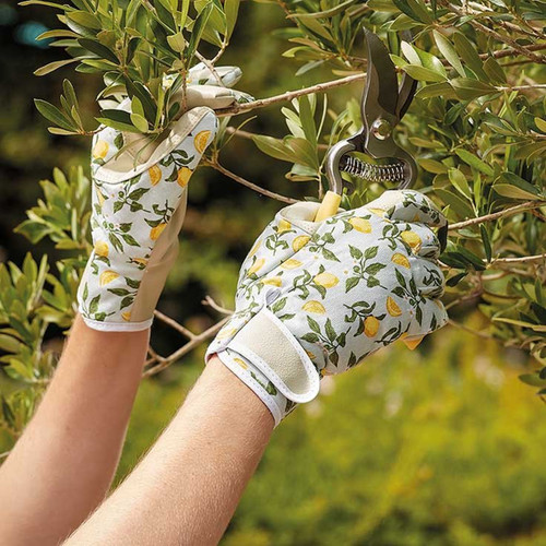 Hands wearing lemon-print gardening gloves using secateurs to prune branches on a shrub.