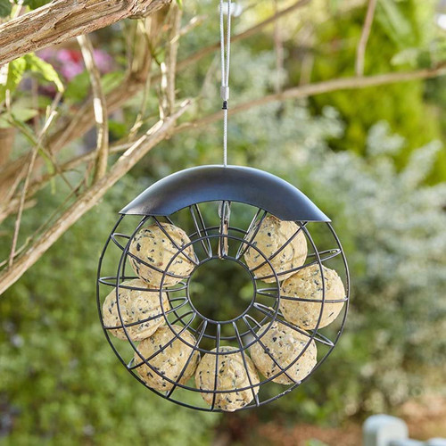 A black metal ring bird feeder hanging from a cable, holding several suet balls arranged in a circle, with a blurred green garden background.