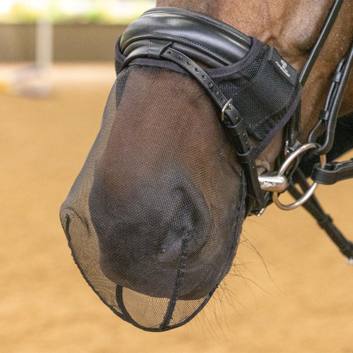 Horse wearing a black mesh fly mask fitted over the bridle, designed to protect the eyes while allowing clear vision.