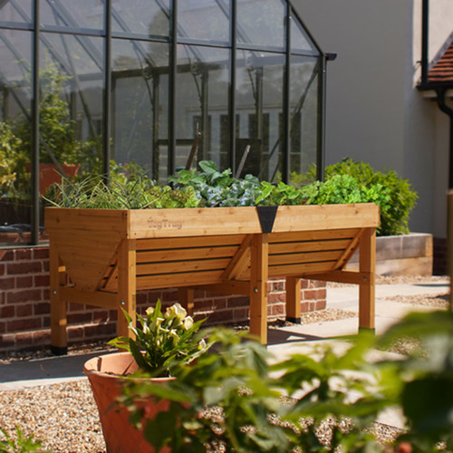 Raised wooden planter trough filled with leafy plants, set outside a glass greenhouse on a patio.