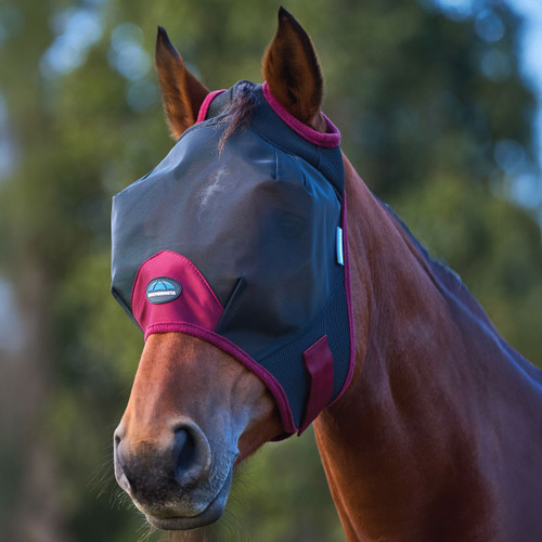 Horse wearing a dark fly mask with ear coverage and burgundy trim, shown in close-up outdoors with a soft-focus green background.