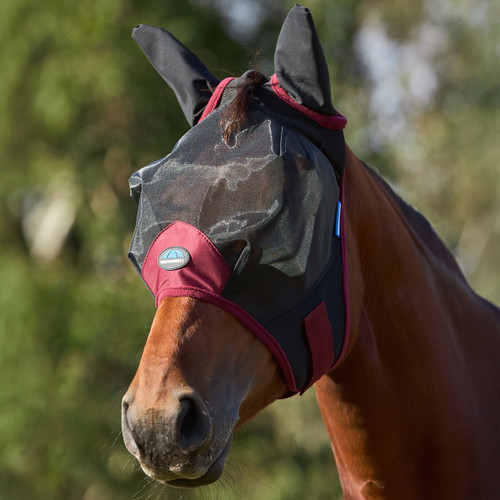 Horse wearing a black mesh fly mask with ear covers and burgundy trim, shown from the front outdoors with a blurred green background.