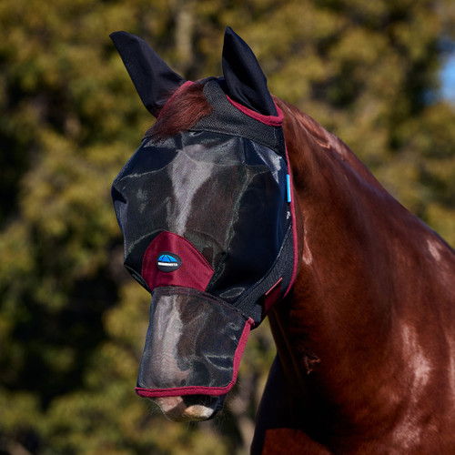 Horse wearing a black mesh fly mask with extended nose cover, ear covers and burgundy trim, photographed outdoors against a blurred green background.