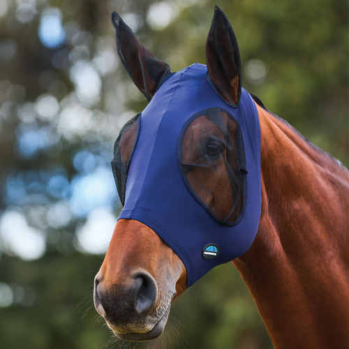 Horse wearing a blue lycra fly mask with black mesh eye panels and ear covers, shown outdoors against a softly blurred green background.