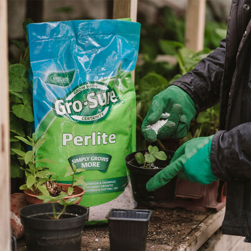 Gardener wearing green gloves sprinkles perlite into a plant pot. A large bag of Gro-Sure Perlite is in the background, surrounded by small plants.