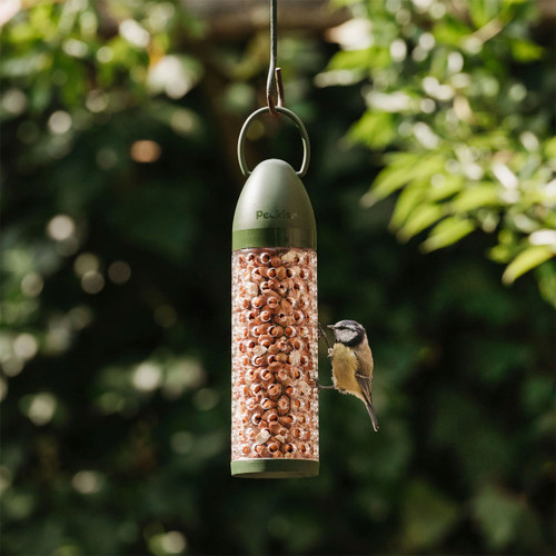 A small bird perches on a cylindrical bird feeder filled with seeds, set against a blurred green background. Sunlight creates a serene, natural mood.