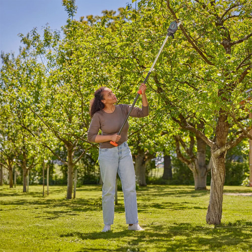 A woman in a brown jumper and jeans uses a long-handled pruner to trim a tree in a sunlit orchard. The scene conveys a sense of serenity and focus.