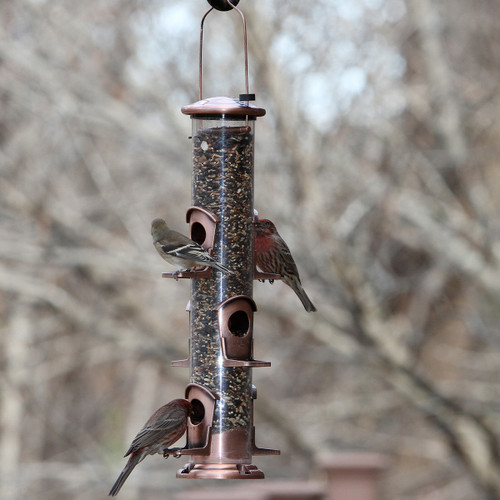 Brushed copper six-port hanging bird feeder filled with mixed seed, with several small birds perched and feeding, set against a blurred outdoor background.