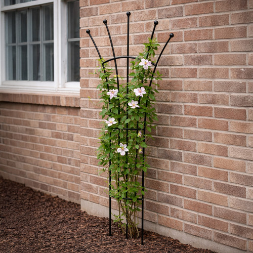 Black metal fan-shaped garden trellis supporting a flowering climbing plant, positioned against a brick wall beneath a window.