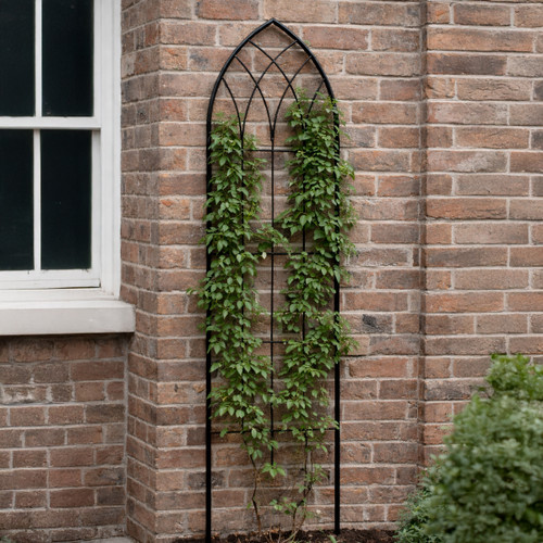 Black metal Gothic window-style garden trellis mounted against a brick wall, supporting a climbing green vine.