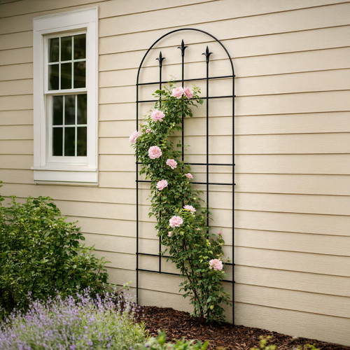 Black metal arched trellis with decorative finials mounted against a house wall, supporting a climbing rose plant in bloom.