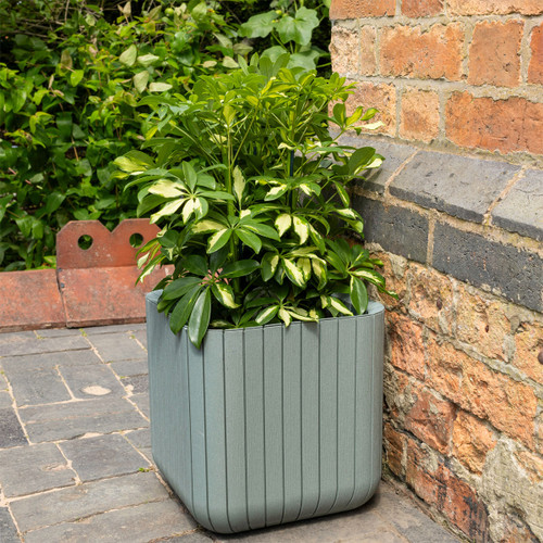 Plant green square ribbed planter with a variegated leafy plant, positioned on a paved patio beside a brick wall.