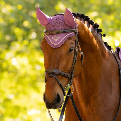 A chestnut horse with a braided mane, wearing a purple ear bonnet and bridle, stands against a backdrop of sunlit green foliage, conveying elegance.