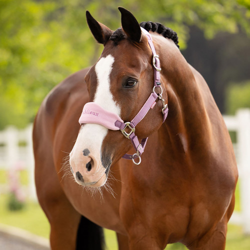 Brown horse wearing a pink halter with "LeMieux" branding, standing outdoors. The background is lush and green, creating a calm atmosphere.
