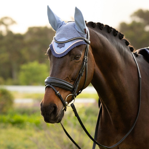 A dark brown horse with a braided mane wears a light blue ear bonnet and bridle. It stands calmly in a green, blurred outdoor setting.