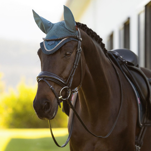 A brown horse wearing a light blue ear bonnet and bridle stands outdoors. The background is blurred with green foliage and a sunlit building. The scene feels serene.