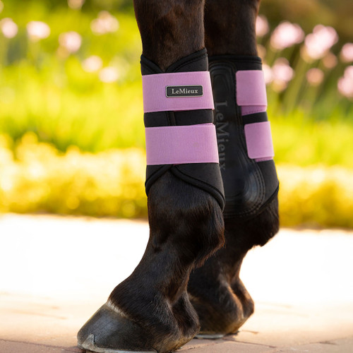 A horse's legs wearing black and pink LeMieux protective boots stand on a sunny path. Blurred green and pink foliage in the background suggests a garden setting.