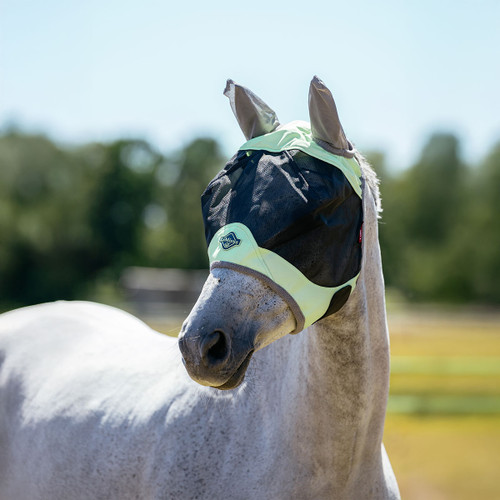 A grey horse wearing a protective fly mask with ear covers stands in a sunny field. The mask is black and yellow, conveying a calm and serene tone.